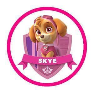 Sky Paw Patrol